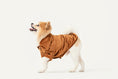 Load image into Gallery viewer, STAINWAY SHIRT - ORANGE