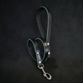 Load image into Gallery viewer, 'Ariel'' leash