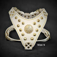 Load image into Gallery viewer, The ''Maximus'' harness White & Gold Small to Medium Size