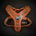 Load image into Gallery viewer, The ''Eros'' harness brown Small to Medium Size