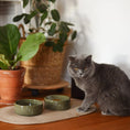 Load image into Gallery viewer, Sphere Ceramic Pet Bowl flair.pet