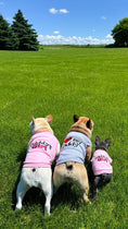 Load image into Gallery viewer, Parisian Pet 'Daddy's Girl' Pet Shirt - Dog Fashion Shirt for Dogs & Cats, Pink-Valentine's Day