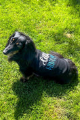 Load image into Gallery viewer, Parisian Pet 'Little Wingman' Winged Dog Shirt – Cool Adventure-Themed Shirt for Dogs & Cats, Black