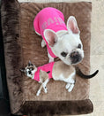 Load image into Gallery viewer, Parisian Pet 'Diva' Dog Shirt - Trendy Pet T-Shirt for Dogs & Cats, Pink