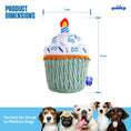 Load image into Gallery viewer, Cupcake - Southlake Paws