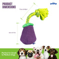 Load image into Gallery viewer, Eggplant - Southlake Paws