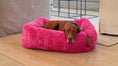 Load image into Gallery viewer, Bowsers Franklin Orthopedic Dog Bed in aquarius