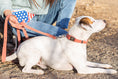Load image into Gallery viewer, Quick-Release Style Leather Collar and Leash Set - image 7