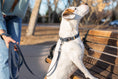 Load image into Gallery viewer, Traditional Blue Jeans Leather Leash - image 2