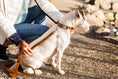 Load image into Gallery viewer, Traditional Earth Brown Leather Dog Leash