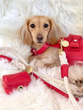 Load image into Gallery viewer, HARNESS - MELTING HEARTS