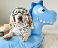 Load image into Gallery viewer, Dog Bandana | Holiday Bandana | Winter | Ski | Snow Board - Southlake Paws