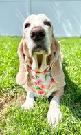 Load image into Gallery viewer, Ice Cream and Peaches, Spring Bandana, Flower Bandana, Summer Bandana - Southlake Paws