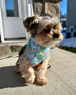 Easter Bandana, Spring Bandana, Dog Bandana, Donut, Bunny