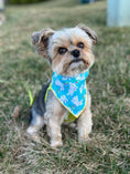 Load image into Gallery viewer, Easter, Easter Bandana, Easter Bunny, Spring Bandana - Southlake Paws