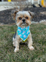 Easter, Easter Bandana, Easter Bunny, Spring Bandana