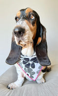 Load image into Gallery viewer, Spring Bandana, Flower Bandana, Tie Dog Bandana | Summer Bandana | Flower Power - Southlake Paws