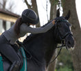 Load image into Gallery viewer, Teal Browband by Southlake Paws on a horse, rider in a helmet gently petting the horse's neck, outdoor setting.