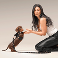 Load image into Gallery viewer, DOGISTRY 3-in-1 City Dog Leash - Rockstar