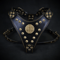 Load image into Gallery viewer, The ''Maximus'' harness Black & Gold Small to Medium Size