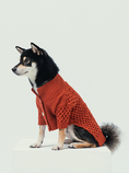 Load image into Gallery viewer, BERT CARDIGAN SWEATER - ORANGE