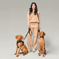 Load image into Gallery viewer, DOGISTRY 3-in-1 City Dog Leash - Rockstar