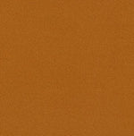 Pumpkin Spice | Halloween Dog Bandana | Flannel | Cutest Pumpkin in the Patch