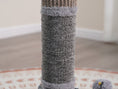 Load image into Gallery viewer, Urbane Durable Cat Scratcher with Rubber Massager & Teaser Ball