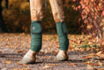 Load image into Gallery viewer, Pine Grove Polo Wraps