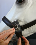 Load image into Gallery viewer, Magna Halter ™ in Black With Leather Breakaway