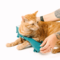 Load image into Gallery viewer, Joey Cat Harness & Leash Set