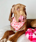 Load image into Gallery viewer, Valentine | Bandana | Valentines Day Bandana | Paws, Bones, Heart - Southlake Paws