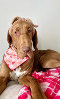 Load image into Gallery viewer, Valentine | Bandana | Valentines Day Bandana | Paws, Bones, Heart - Southlake Paws