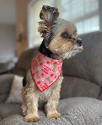 Valentine Bandana | Valentines Day Bandana | Worlds Best Kisser