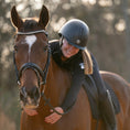 Load image into Gallery viewer, Henri de Rivel Diamonte Dressage Bridle - image 3