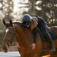 Load image into Gallery viewer, Henri de Rivel Diamonte Dressage Bridle - image 2