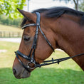 Load image into Gallery viewer, Henri de Rivel Diamonte Dressage Bridle