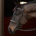 Load image into Gallery viewer, Henri de Rivel Pro Mono Crown Bridle with Padded Wide Noseband with Laced Reins - image 4