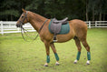 Load image into Gallery viewer, Henri De Rivel Jaipur Polo Saddle - image 3