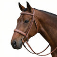 Load image into Gallery viewer, Laureate by Henri de Rivel Fancy Stitched Bridle w/ Wide Caveson and Laced Reins