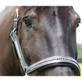 Load image into Gallery viewer, Henri de Rivel Padded Jewel Halter - image 2