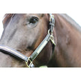 Load image into Gallery viewer, Henri de Rivel Padded Jewel Halter - image 6
