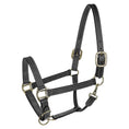 Load image into Gallery viewer, Henri de Rivel Triple Stitched Halter - image 3