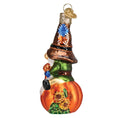 Load image into Gallery viewer, Fall Harvest Gnome Ornament - Southlake Paws
