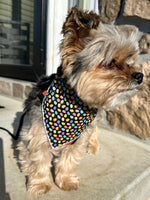 Easter Bandana, Easter Dog Bandana, Spring, Sparkle Eggs