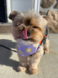Load image into Gallery viewer, Easter, Easter Bandana, Easter Bunny, Spring Bandana, Cute Chicks - Southlake Paws