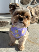 Easter, Easter Bandana, Easter Bunny, Spring Bandana, Cute Chicks