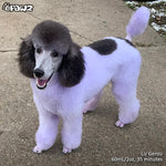 Color Depositing Shampoo Purple 17oz by Opawz