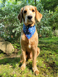Load image into Gallery viewer, Patriotic | Memorial Day Bandana | USA | Patriotic bandana | Popsicle | 4th of July - Southlake Paws