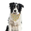 Load image into Gallery viewer, Fall Bandana, Flower Bandana, Tie Dog Bandana | Spring Bandana | Sunflower Bandana | Summer